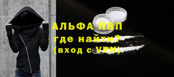 прущие грибы Вязьма