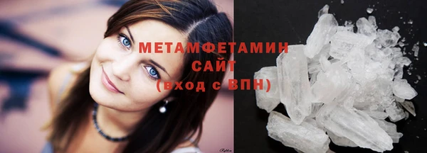 прущие грибы Вязьма