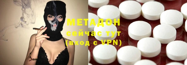 прущие грибы Вязьма