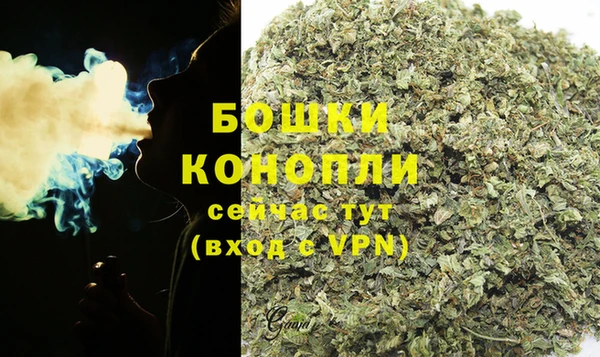 бошки Горняк