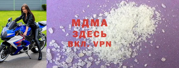 прущие грибы Вязьма