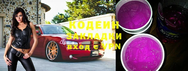 прущие грибы Вязьма
