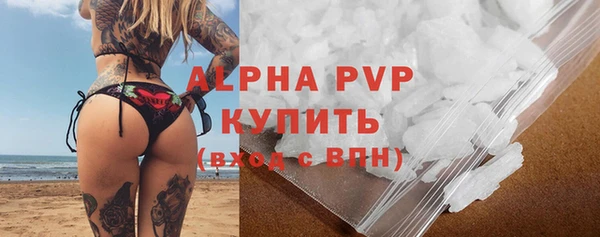 прущие грибы Вязьма