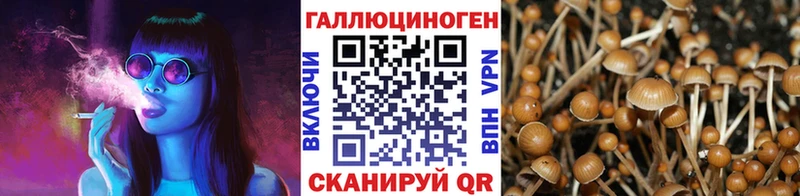 Псилоцибиновые грибы мицелий  купить   Пласт 
