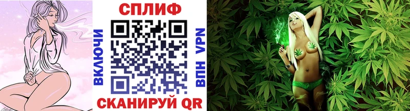 где продают   Пласт  Канабис конопля 
